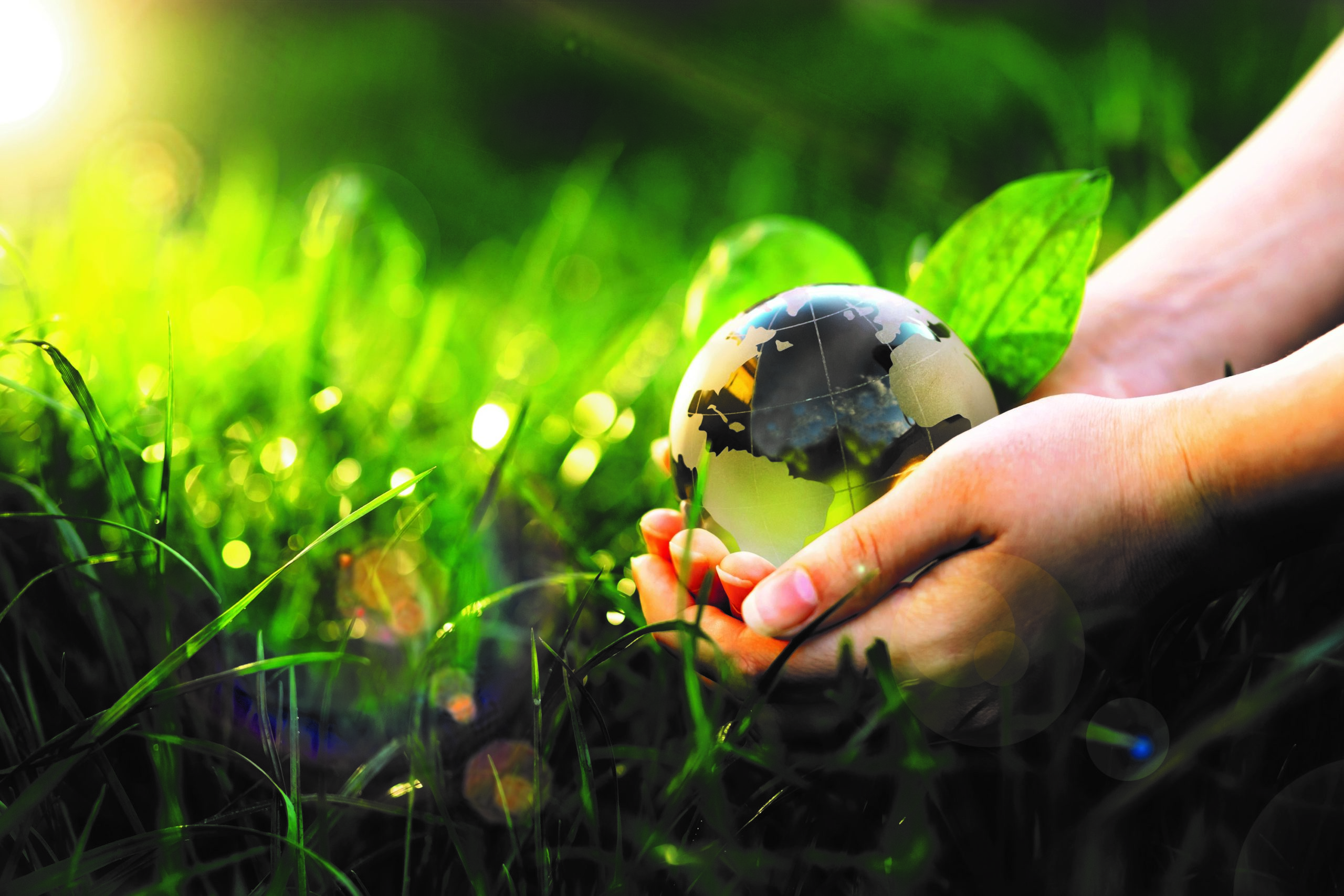 Environment Day, save clean planet, ecology concept. Hands holding crystal earth globe in sunny green grass.